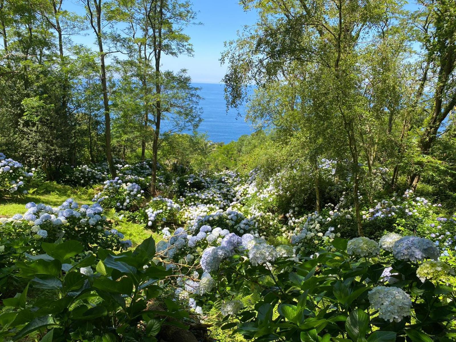 Apartamentos Mar Y Mar Agroturismo 圣塞瓦斯蒂安 外观 照片